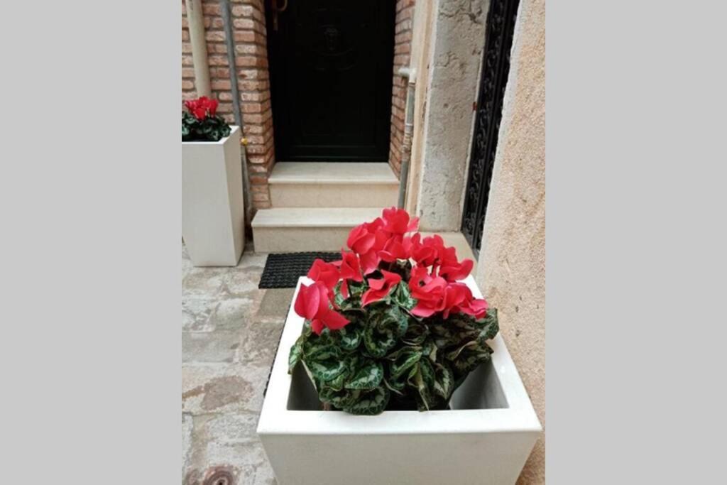 Ca Cici Venice Loft Apartment מראה חיצוני תמונה